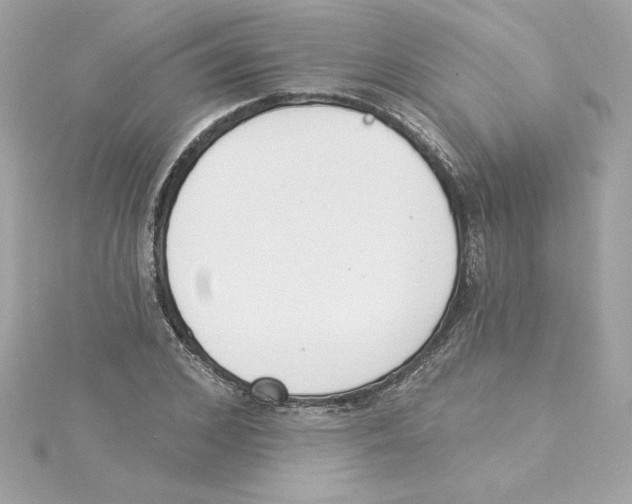 X0000115230976200911271819