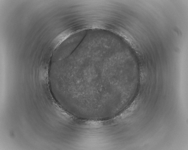 X0000115230977200911271819