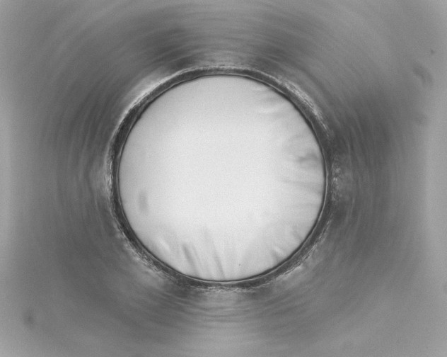 X0000115230981200911271819