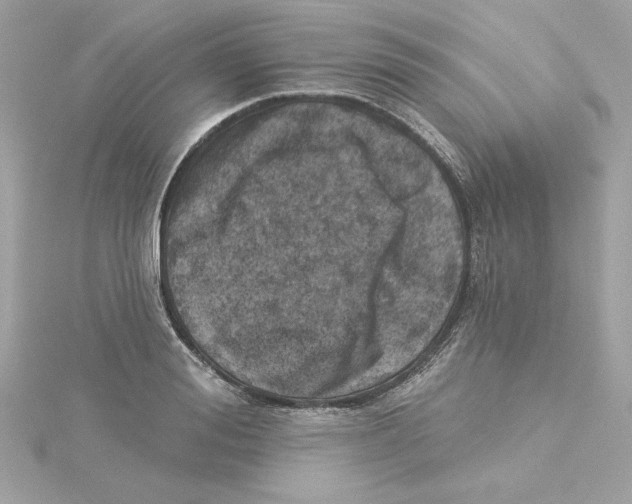 X0000115230988200911271819