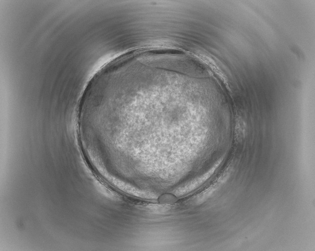 X0000115230989200911271819