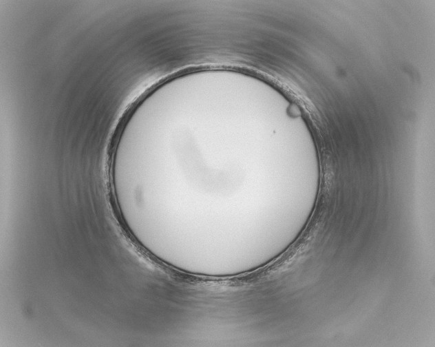 X0000115230990200911271819