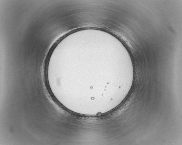 X0000115230991200911271818