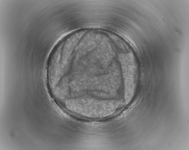 X0000115230992200911271818