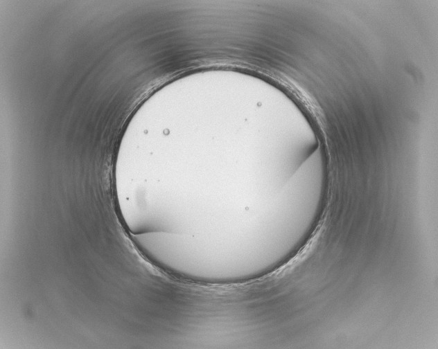 X0000115230993200911271818