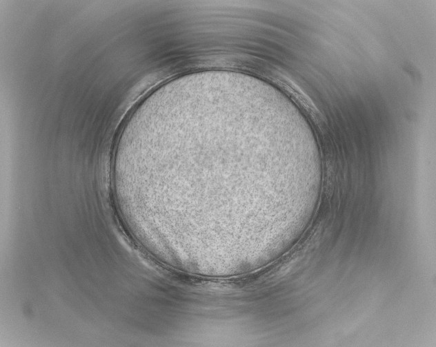 X0000115230994200911271818