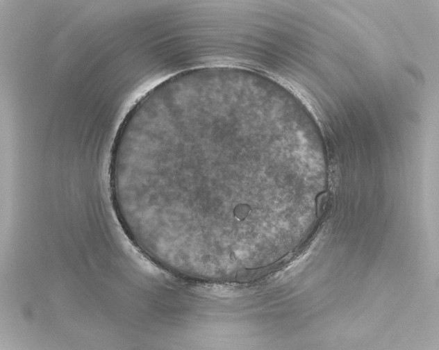 X0000115230995200911271818