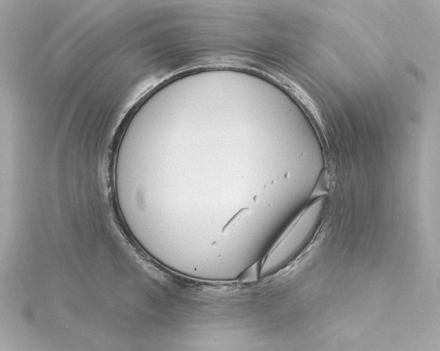 X0000115230997200911271818