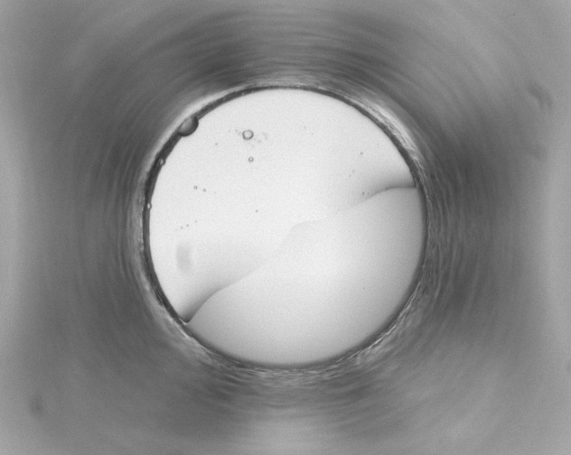 X0000115231000200911271818