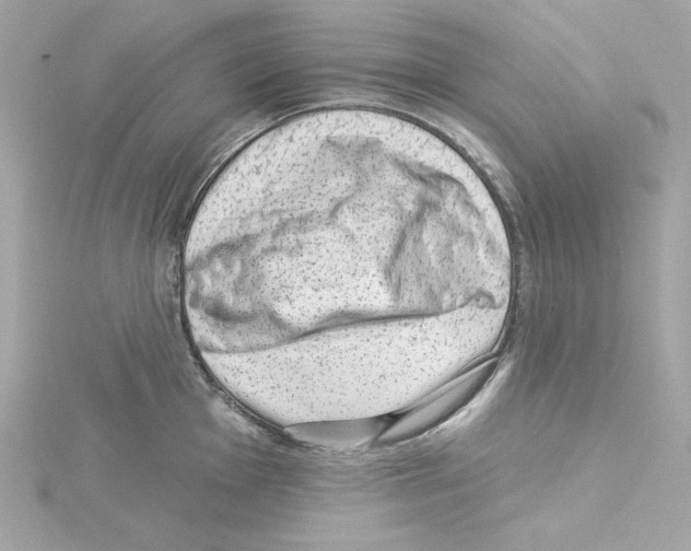 X0000115231001200911271818