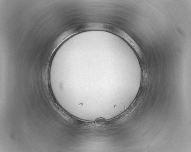 X0000115231002200911271818