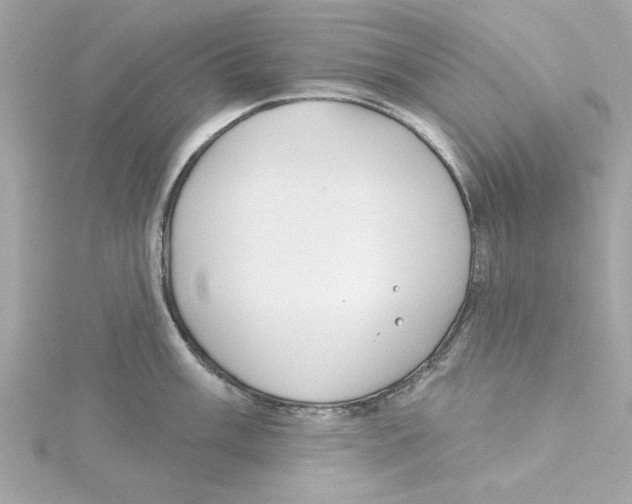 X0000115231003200911271818