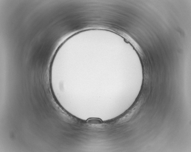 X0000115231004200911271818