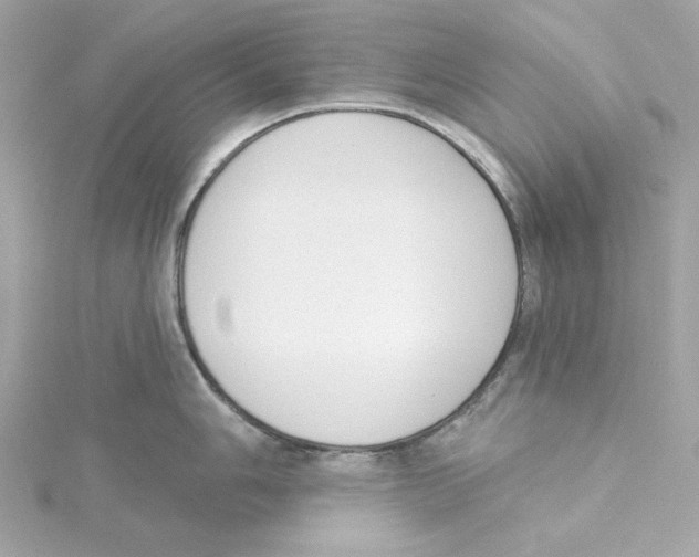 X0000115231006200911271818