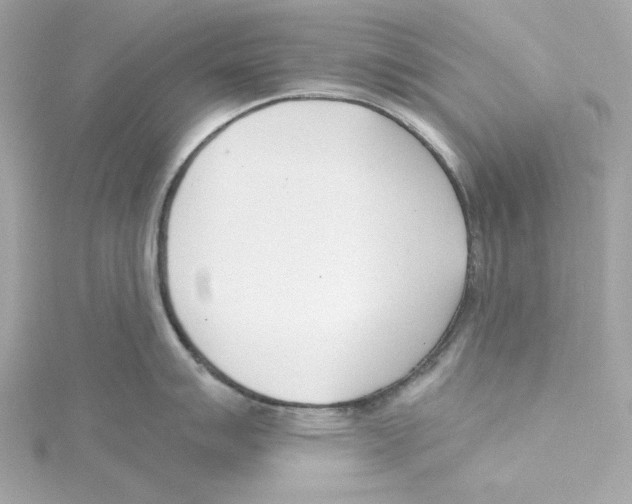 X0000115231007200911271818