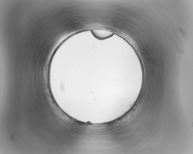 X0000115231008200911271818