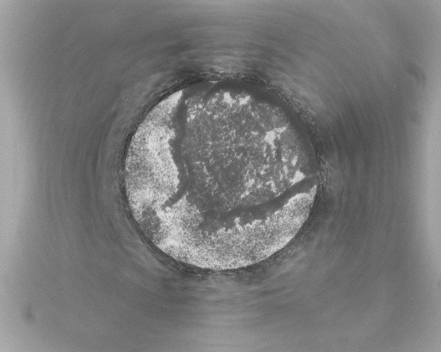 X0000115231009200911271818