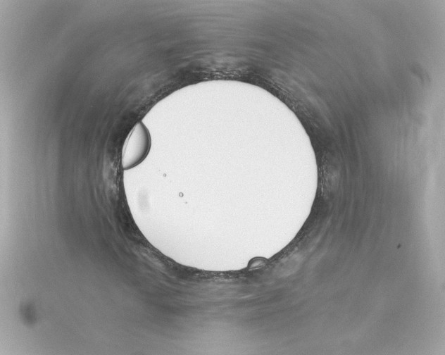 X0000115231010200911271818