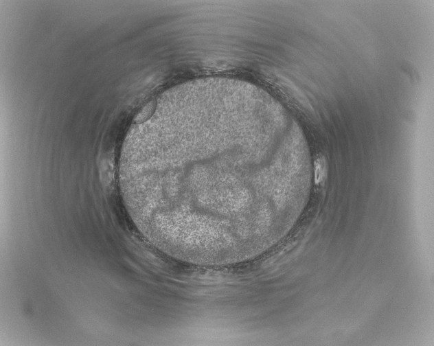 X0000115231011200911271818