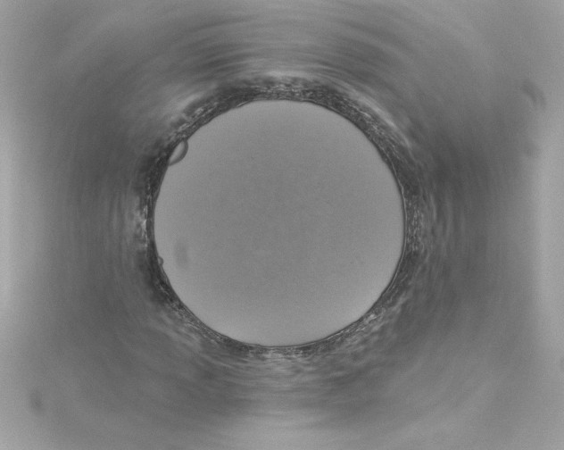 X0000115231013200911271818