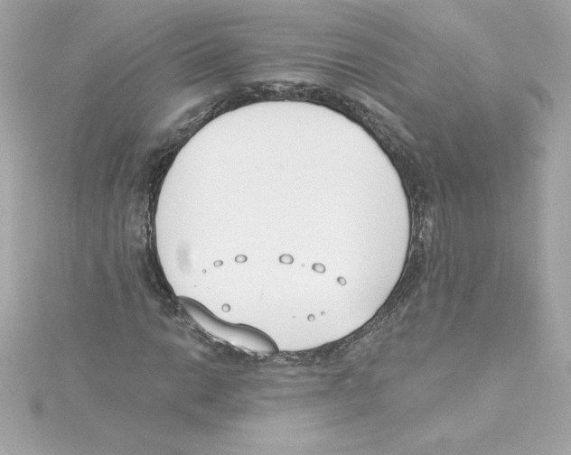 X0000115231014200911271818