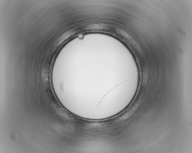 X0000115231017200911271818