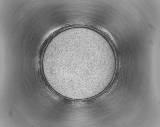 X0000115231019200911271818