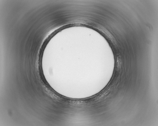 X0000115231020200911271818