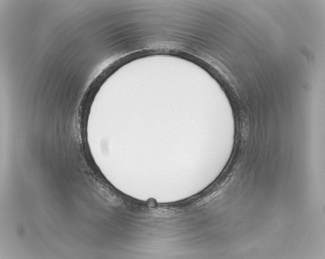 X0000115231022200911271818