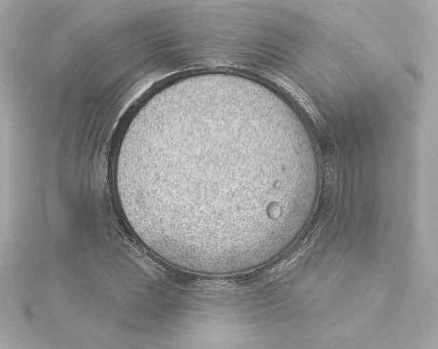 X0000115231023200911271818