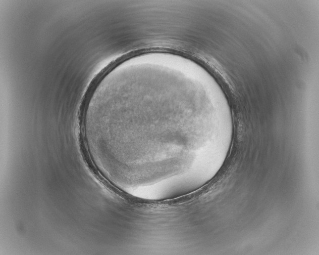 X0000115231024200911271818