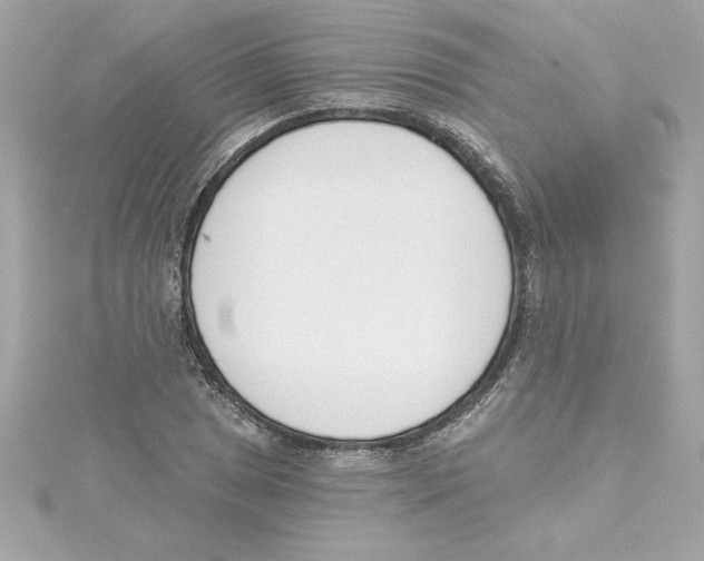 X0000115231025200911271818