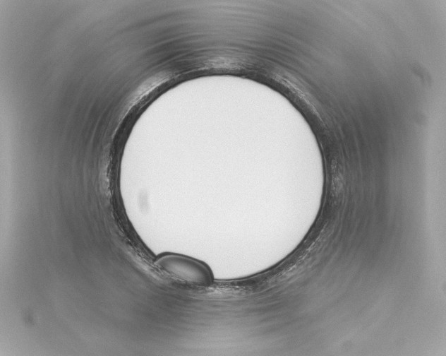 X0000115231026200911271818