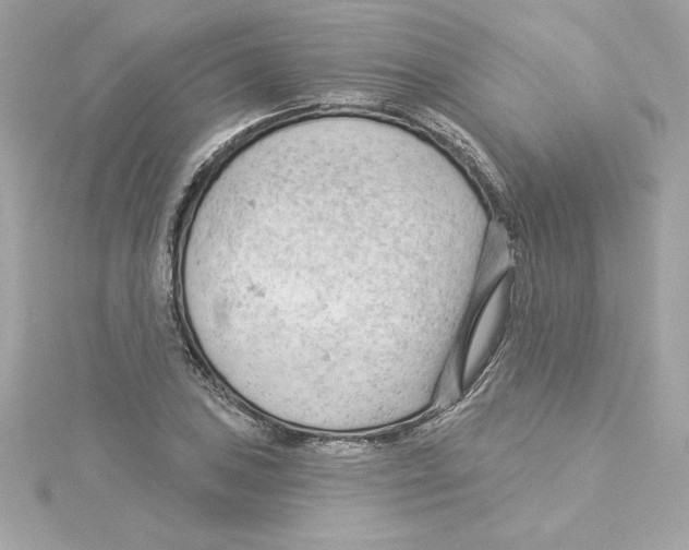 X0000115231027200911271818