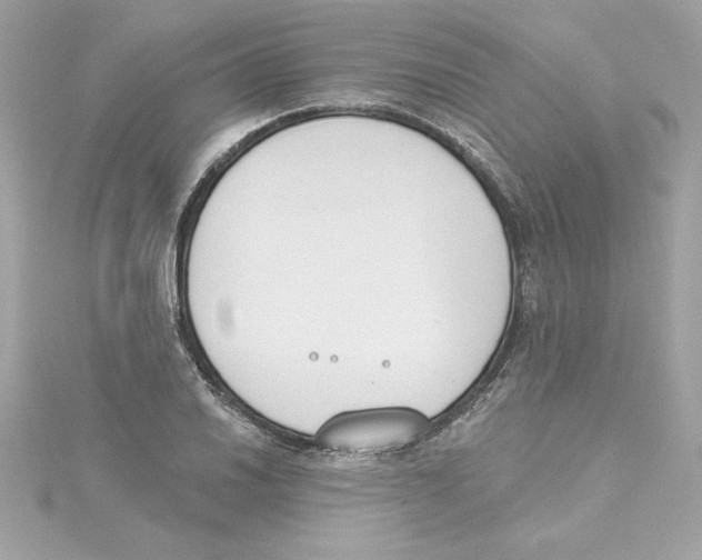 X0000115231030200911271818