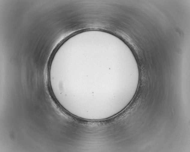 X0000115231032200911271818