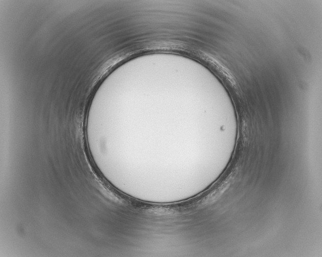 X0000115231033200911271818