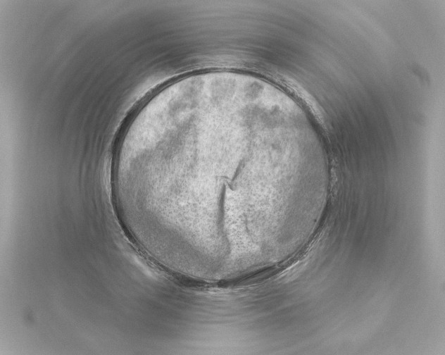 X0000115231035200911271818