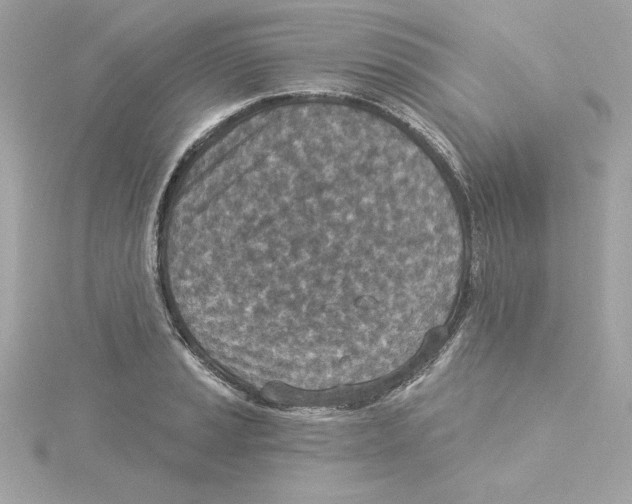 X0000115231037200911271818