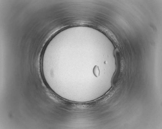 X0000115231039200911271818