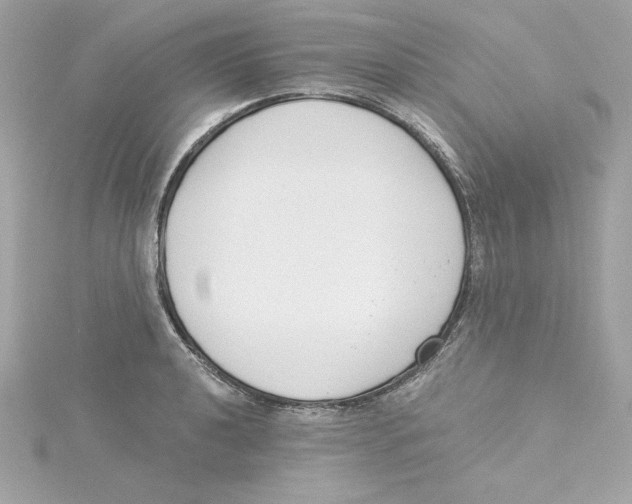 X0000115231040200911271818