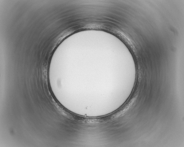 X0000115231041200911271818