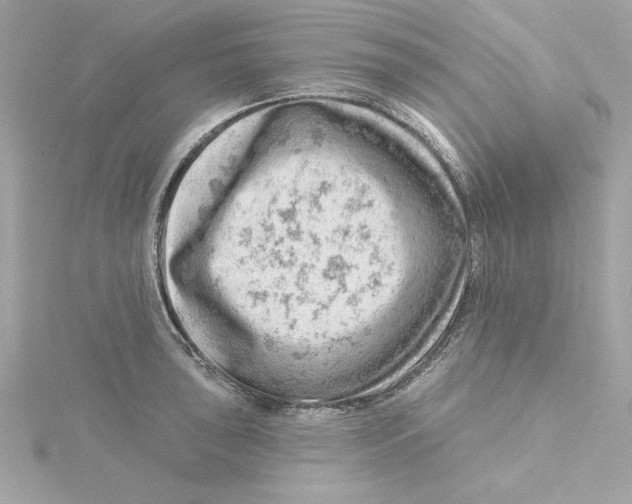 X0000115231043200911271818