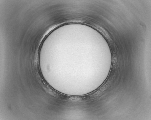 X0000115231044200911271818