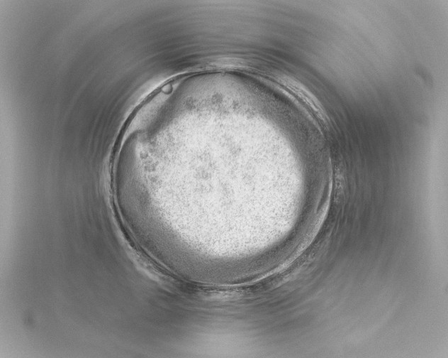 X0000115231047200911271818