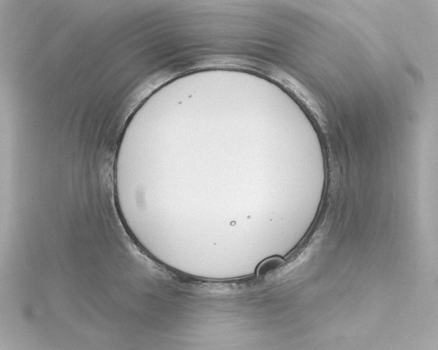 X0000115231049200911271818