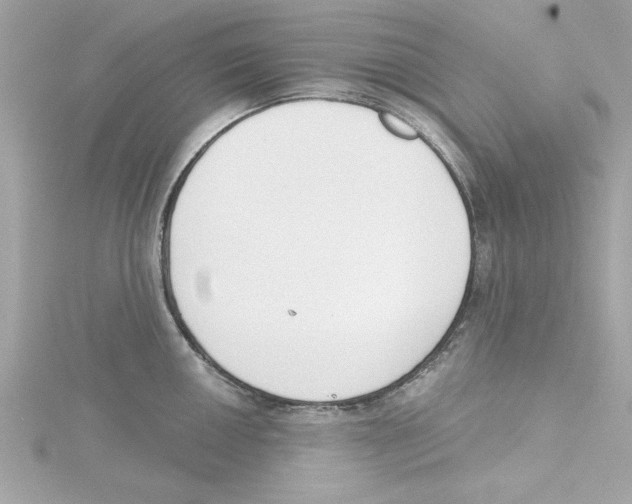 X0000115231050200911271818