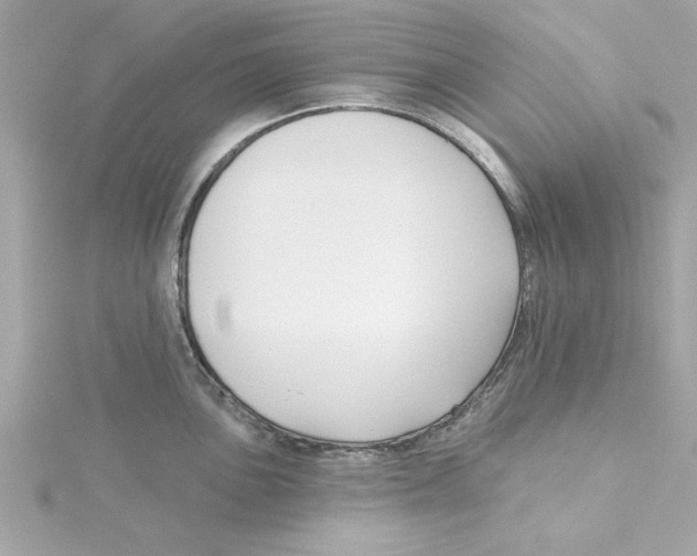 X0000115231051200911271818