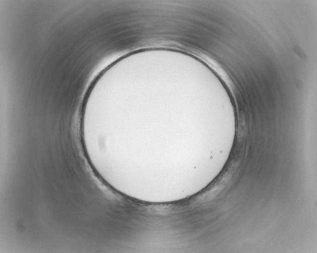 X0000115231053200911271818