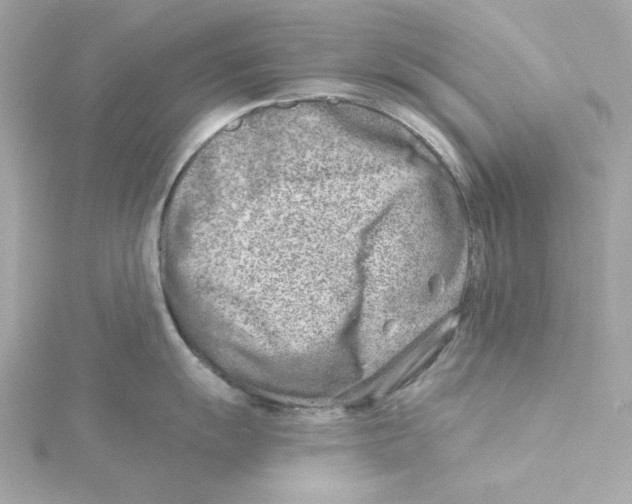 X0000115231055200911271818